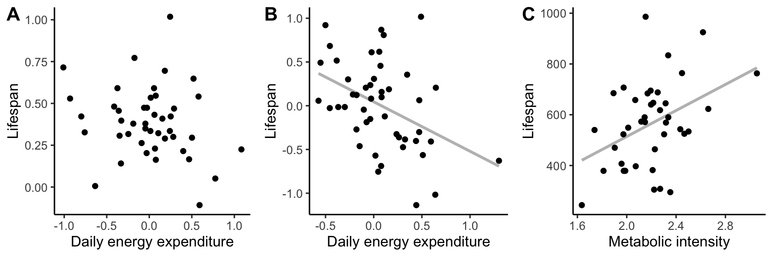 A. Relationship between daily energy expenditure and life span across different species of birds. The two variables are not significantly correlated. [Data](data/12_metabolism_birds.csv) from Speakman (2005). B. Relationship between daily energy expenditure and life span across different species of mammals There is a weak negative correlation between the two variables. [Data](data/12_metabolism_mammals.csv) from Speakman (2005). C. Intraspecific variation of metabolic intensity in laboratory mice is positively correlated with lifespan, opposite of what is predicted by the rate of living hypothesis. [Data](data/12_metabolism_mice.csv) from Speakman et al. (2002).