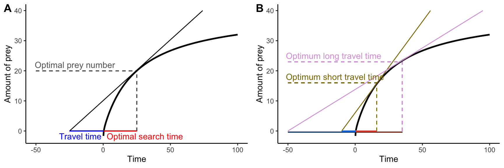 The marginal value theorem applied to optimal foraging. A. For any travel time (plotted in blue along the negative portion of the x-axis), the maximum rate of energy acquisition can be determined as the slope of the tangent line of the prey acquisition curve that goes through the point defining the travel time on the x-axis. Accordingly, the optimal search time and the optimal prey number are given by the x and y coordinates of the tangent point. B. Varyint the travel time from shory (brown) to long (pink) changes the optimal food searching time from short to long. 