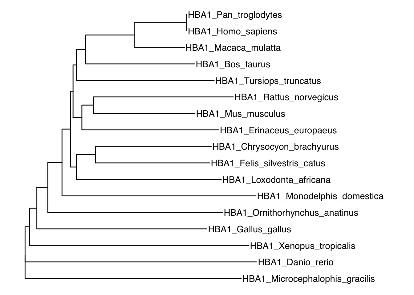 Neighbor-joining tree of different vertebrates based on hemoglobin ⍺1 sequences.