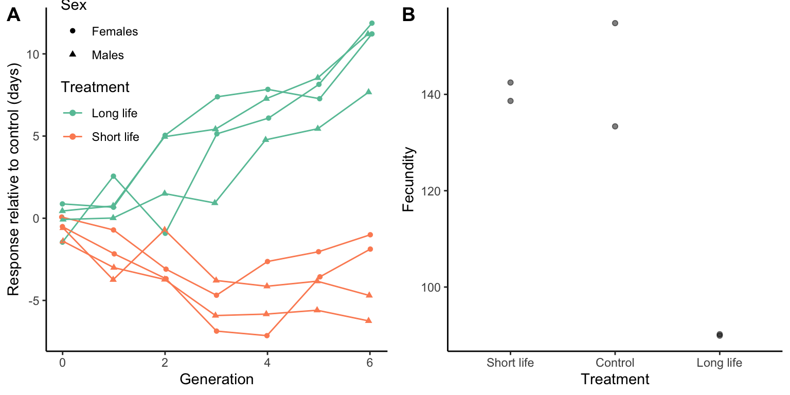 A. Selection of either short or long lifespan  in *D. melanogaster* causes clear evolutionary responses in longevity. [Data](data/12_selection_longevity2.csv) form Zwaan et al. (1995). B. Evolution of longer lifespans coincides with drastic reductions in fecundity, indicating antaginistic pleiotropic effects. [Data](data/12_selection_longevity3.csv) form Zwaan et al. (1995).