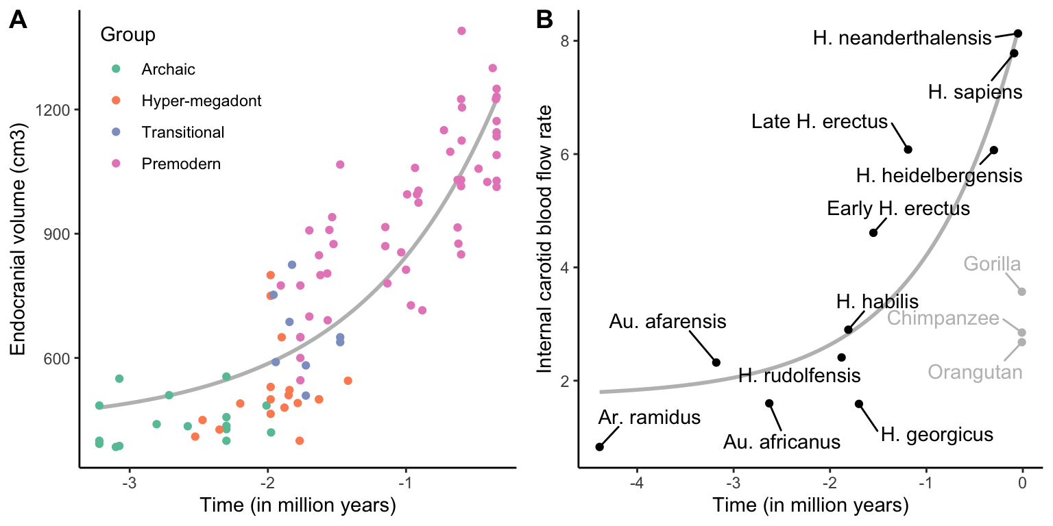 A. Endocranial volume for different fossilized hominids, including presentatives from archaic homonids (*Australopithecus*), hyper-megadonts (*Paranthropus*), transitional form of *Homo* (*H. habilis* and *H. rudolfensis*), and premodern *Homo* (*H. erectus* and *H. heidelbergensis*). [Data](data/14_human_brain.csv) from Du et al. (2018). B. Estimates of blood frow through the internal carotid artery into the brain for different hominids. [Data](data/14_human_brain.csv) from Seymour et al. (2016).