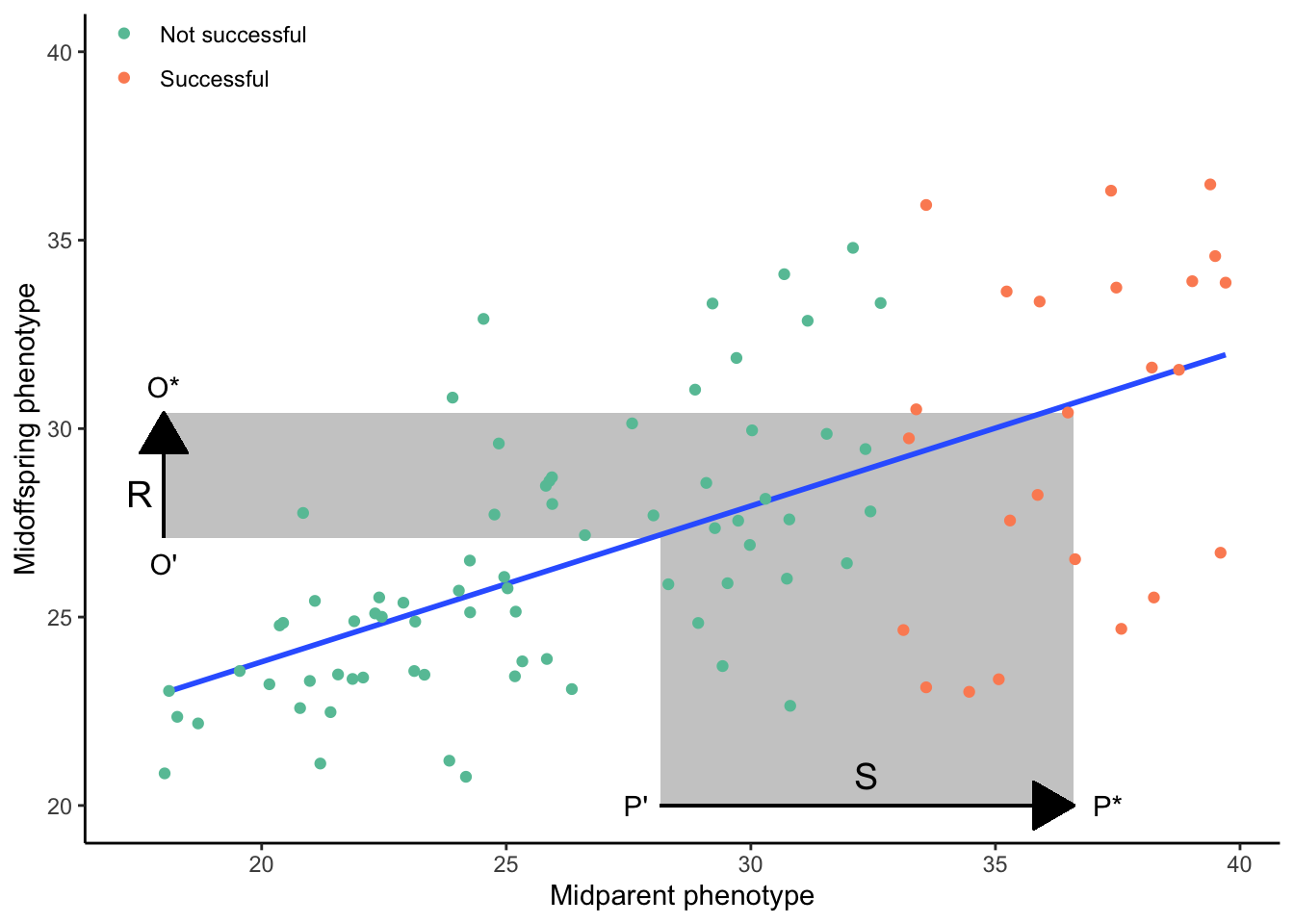 The response to selection (*R*) is proportional to the product of th selection differential (*S*) and narrow-sense heritability (as indicated by the slope of the best-fit line).