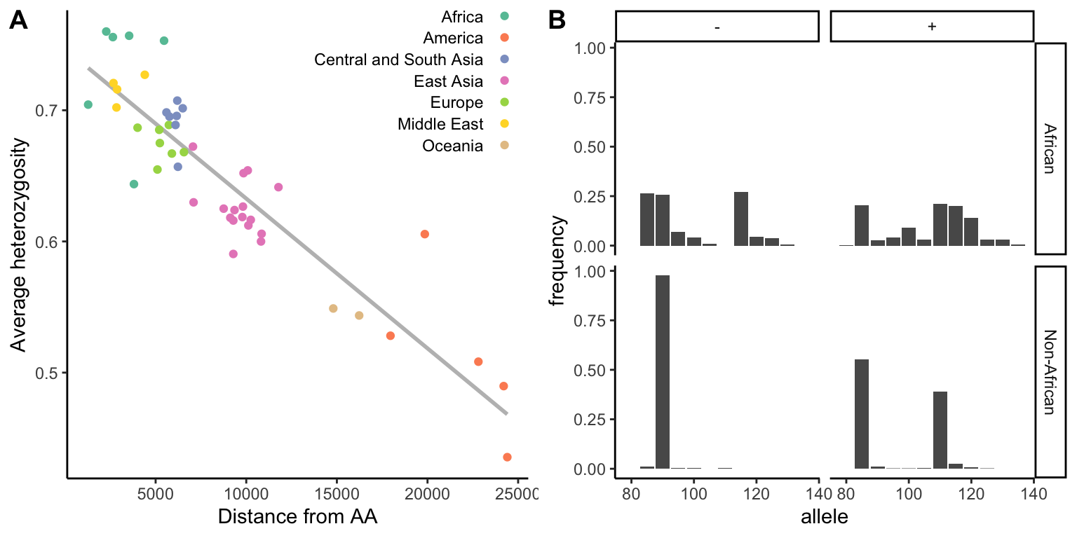 A. Relationship between the genetic diversity (heterozygosity) of 51 human populations and their distance from Addis Ababa, Ethiopia. [Data](data/14_humanheterozygosity.csv) from Li et al. (2008). B. Frequency of different CD4 STRP alleles in African and non-African populations both for Alu(+) and Alu(-) chromosomes. Non-African alleles are clearly a subset of alleles present in African populations. [Data](data/14_subsets.csv) from Tishkoff et al. (1996).