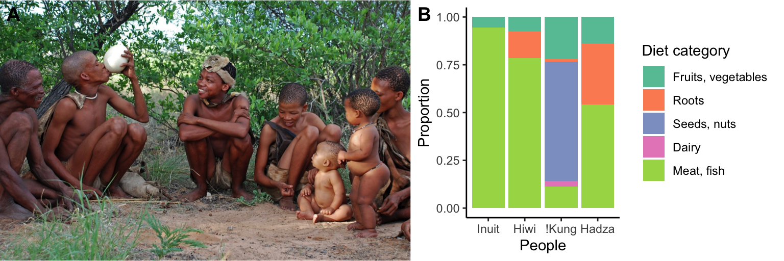 A. The San peoples or Bushmen are indiginous hunter-gatherer cultures that are the first cultures of Southern Africa. Photo: [Aino Tuominen](https://ainotuominen.myportfolio.com/projects) (CC0). B. Diet composition of four hunter-gatherer communities, the Inuit of the high Arctic in Canada, the Hiwi of South America, the !Kung of southern Africa, and the Hadza of eastern Africa. [Data](data/12_diet.csv) from Leonard (2002).