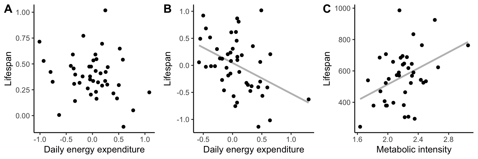 A. Relationship between daily energy expenditure and life span across different species of birds. The two variables are not significantly correlated. [Data](data/12_metabolism_birds.csv) from Speakman (2005). B. Relationship between daily energy expenditure and life span across different species of mammals There is a weak negative correlation between the two variables. [Data](data/12_metabolism_mammals.csv) from Speakman (2005). C. Intraspecific variation of metabolic intensity in laboratory mice is positively correlated with lifespan, opposite of what is predicted by the rate of living hypothesis. [Data](data/12_metabolism_mice.csv) from Speakman et al. (2002).