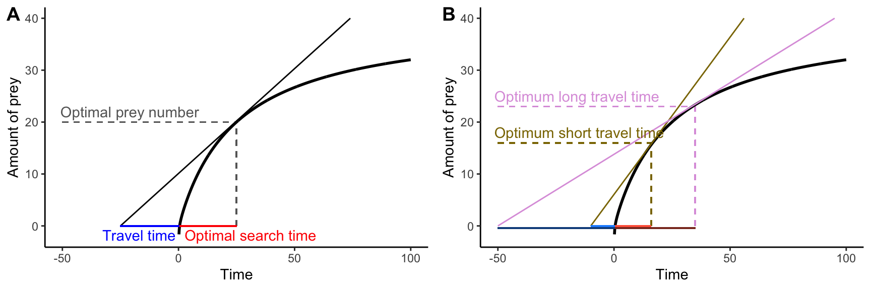 The marginal value theorem applied to optimal foraging. A. For any travel time (plotted in blue along the negative portion of the x-axis), the maximum rate of energy acquisition can be determined as the slope of the tangent line of the prey acquisition curve that goes through the point defining the travel time on the x-axis. Accordingly, the optimal search time and the optimal prey number are given by the x and y coordinates of the tangent point. B. Varyint the travel time from shory (brown) to long (pink) changes the optimal food searching time from short to long. 