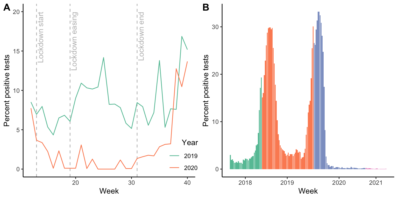 A. Prevalence of rhinovirus infections in Australia in 2019 (pre-COVID-19) and 2020 (where COVID-19-related lockdowns were enforced). During most of the lockdown period of 2020, rhinovirus prevalence approached zero.  [Data](data/13_rhino.csv) from Jones (2020). B. Prevalence of influenza A in the U.S. from 2018 through 2021. Mid-2020, the prevalence of the common flu fell to a record low, and the typical surge in flu prevalence over the winter was absent for the 2020/2021 flu season. [Data](data/13_flu.csv) from Peek (2021).