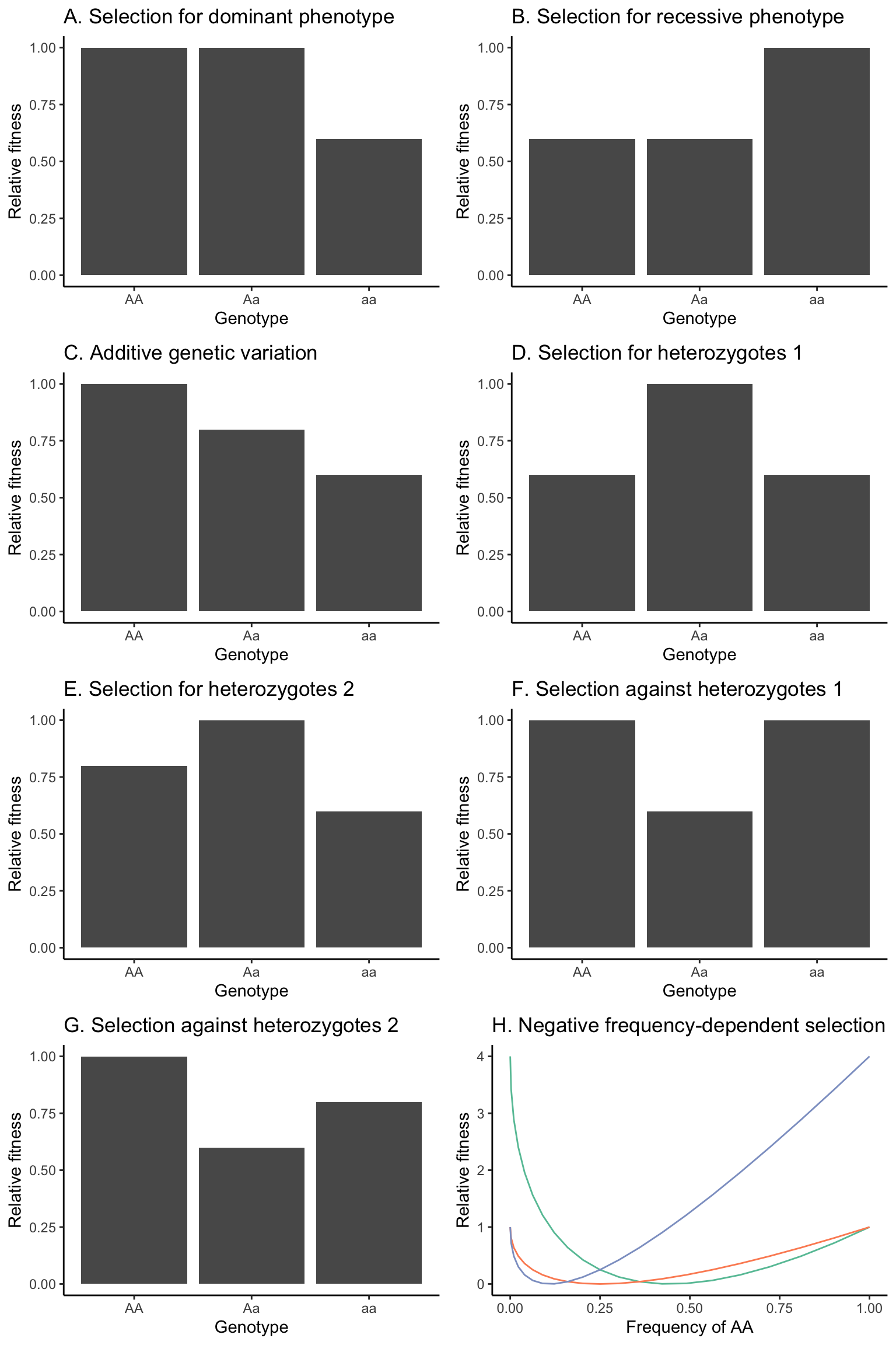 Hypothetical fitness distributions among genotypes that will be used in different scenarios to model the outcomes of selection. (A) Selection for the dominant phenotype, assuming a dominant-recessive inheritance. (B) Selection for the recessive phenotype, assuming a dominant-recessive inheritance. (C) Fitness distribution assuming a strictly additive inheritance. Note that the fitness of *AA* and *aa* could also be swapped in this scenario. (D) Selection for heterozygotes, with homozygous genotypes having equal fitness. (E) Selection for heterozygotes, with homozygous genotypes having unequal fitness. Note that the fitness of *AA* and *aa* could also be swapped in this scenario. (F) Selection against heterozygotes, with homozygous genotypes having equal fitness. (G) Selection against heterozygotes, with homozygous genotypes having unequal fitness. Note that the fitness of AA and aa could also be swapped in this scenario. (H) Fitness functions of *AA* (green), *Aa* (orange), and *aa* (blue) based on Equations 5.12-5.14. Note that the *s*=2 for this scenario.