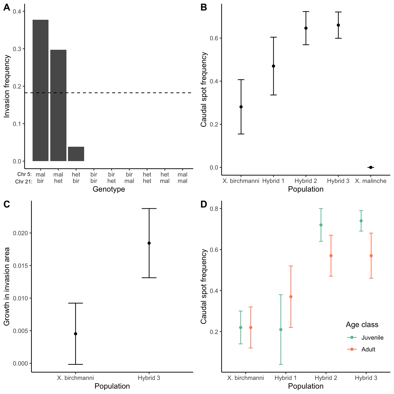 A. Frequency of invasive melanocytes in *Xiphophorus* fish with different genotypes at a tumor suppressor locus (on chromosome 5) and tumor locus (on chromosome 21). Only fish that are homozygous for the low activity tumor suppressor allele from *X. malinche* and have at least one tumor allele from *X. birchmanni* develop a high frequency of invasive tumor cells. [Data](data/11_xipho1.csv) from Powell et al. (2020). B. Caudal spot frequencies in parental *X. birchmanni* and *X. malinche* populations, and natural populations with hybridization between the two species (Hybrid 1-3). [Data](data/11_xipho2.csv) from Powell et al. (2020). C. Caudal spots grow faster and larger in hybrids compared to *X. birchmanni*. [Data](data/11_xipho3.csv) from Powell et al. (2020). D. The decrease in caudal spot frequency from juveiles to adults in two populations of *Xiphophorus* hybrids indicate an increased mortality of fish with a caudal spot. [Data](data/11_xipho4.csv) from Powell et al. (2020).