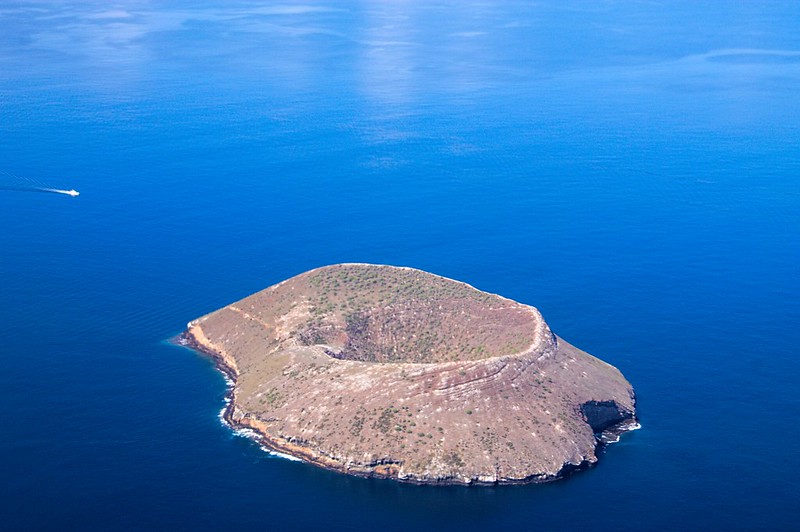 Daphne Major, a small rugged island in the Galapagos. Photo by [Sam LaRussa](https://www.flickr.com/photos/blueshift12/16706932513), [CC BY 2.0](https://creativecommons.org/licenses/by/2.0/).