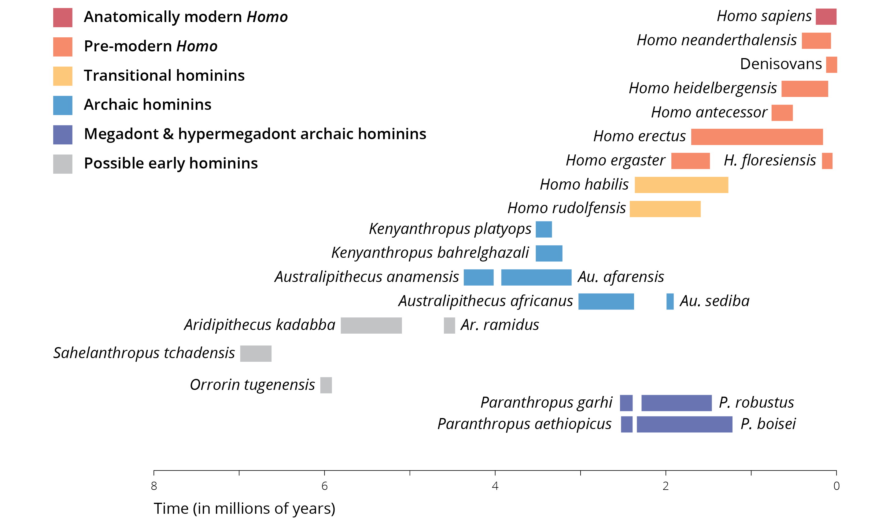 Overview of key fossil representatives since the human lineage split from the last common ancestor with chimpanzees. Additional details are provided in the text. Adopted from Wood and Grabowski (2015).
