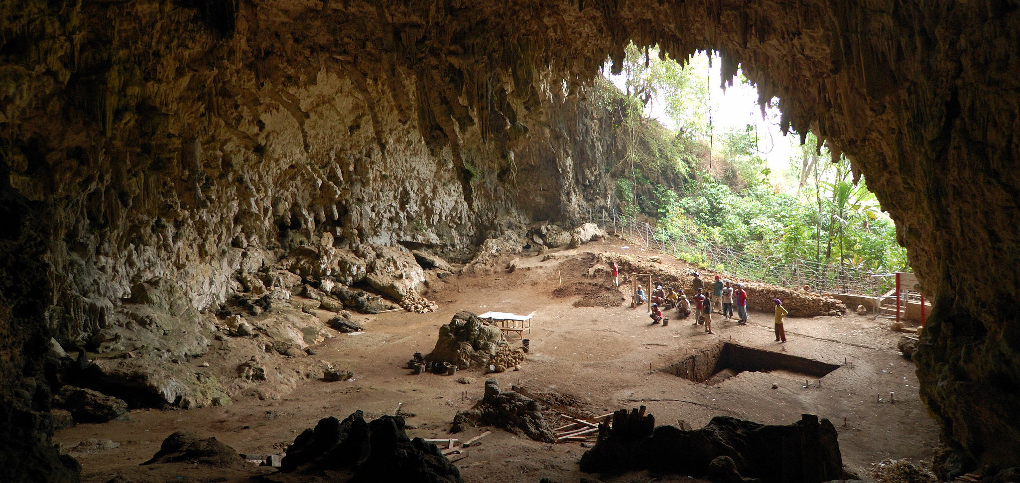 Cave where the remainings of *Homo floresiensis* where discovered in 2003, Liang Bua, Flores, Indonesia. Photo by [Rosino](https://www.flickr.com/photos/rosino/), [CC BY-SA 2.0](https://creativecommons.org/licenses/by-sa/2.0/).